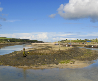 Hayle Cockle Bank